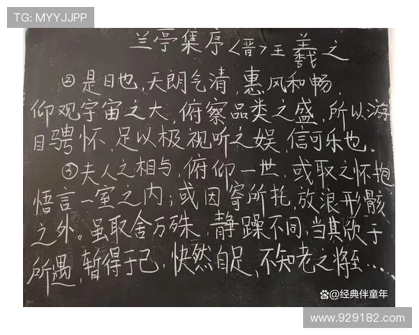 《对手》：当爱与信仰在谍海深处交织，一场心跳的博弈，两种人生的抉择